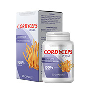 Cordyceps Pulse CZ lungs produkt