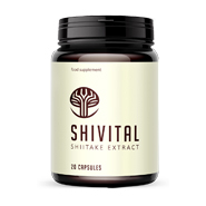 Shivital CZ joints produkt