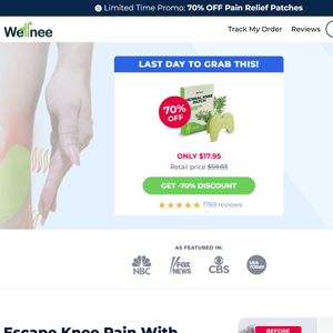 Wellnee - Náplasti proti bolesti (เวลนี)